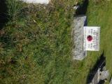 image of grave number 760297